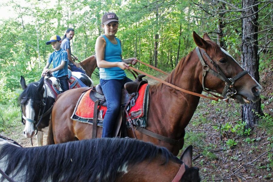 Agadir: Guided Horse Riding Along Flamingo River with Tea - Practical tips before you book