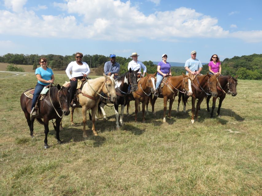 Agadir: Guided Horse Riding Along Flamingo River with Tea - Should you book this Agadir horse ride?