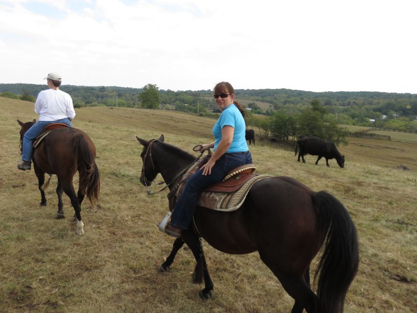 Agadir: Guided Horse Riding Along Flamingo River with Tea - Eucalyptus trees and views toward local towns