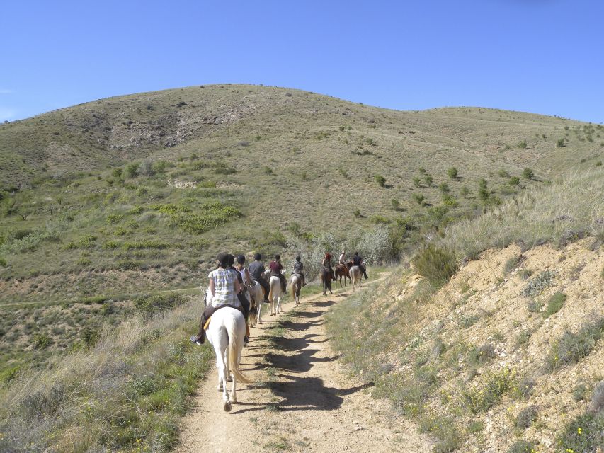 Agadir Horse Riding visite the flamingo river with tea drink - Dunes, eucalyptus forest, and beach scenery