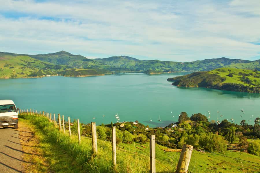 Akaroa: Pohatu Penguins Scenic Nature 2-Hour or 4-Hour Tour - The winding road to Pohatu Bay