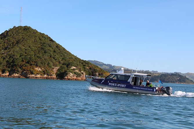Albatross, seals, and sea birds-Wildlife Cruise - Weather, clothing, and comfort