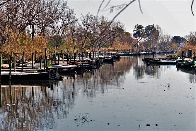 Albufera: Lake, Paella and Birdwatching - Why Albufera is worth leaving Valencia for