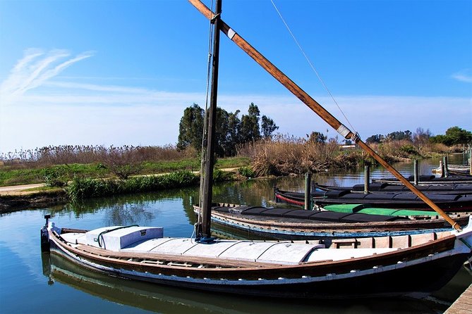 Albufera: Lake, Paella and Birdwatching - Timing, comfort, and practical details