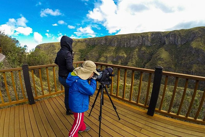 Antisana Volcano Birding & Natural History Condor Tour PRIVATE, all included - Leaving Quito at 7:00 am