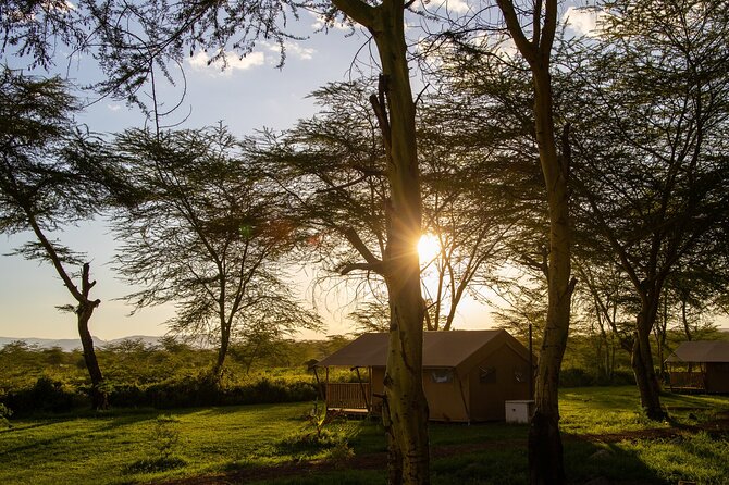 Arusha: 3-Day Safari Tarangire, Flamingo Walk Lake Natron Tour - The Lake Natron flamingo walk is the trip’s unusual highlight