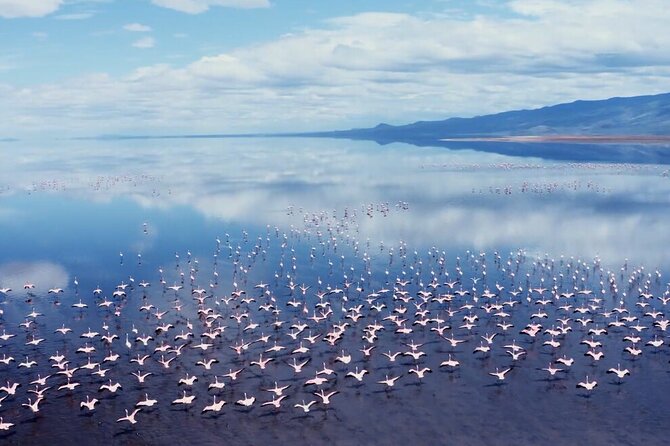 Arusha: 3-Day Safari Tarangire, Flamingo Walk Lake Natron Tour - Who should book this three-day route