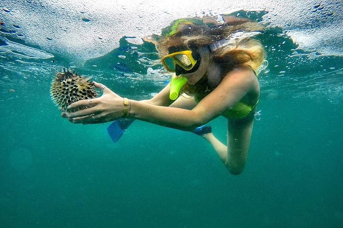 ATV and Snorkel from Playa Flamingo - Reaching Playa Minas for swimming and snorkeling