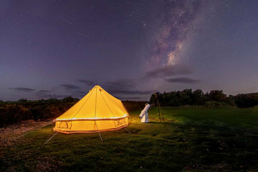 Auckland (Tawharanui): Wild Kiwi Bird Spotting Encounter - Stargazing beneath a coastal dark sky
