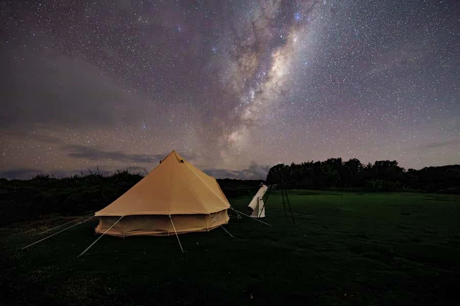 Auckland (Tawharanui): Wild Kiwi Bird Spotting Encounter - Bioluminescence and the shoreline