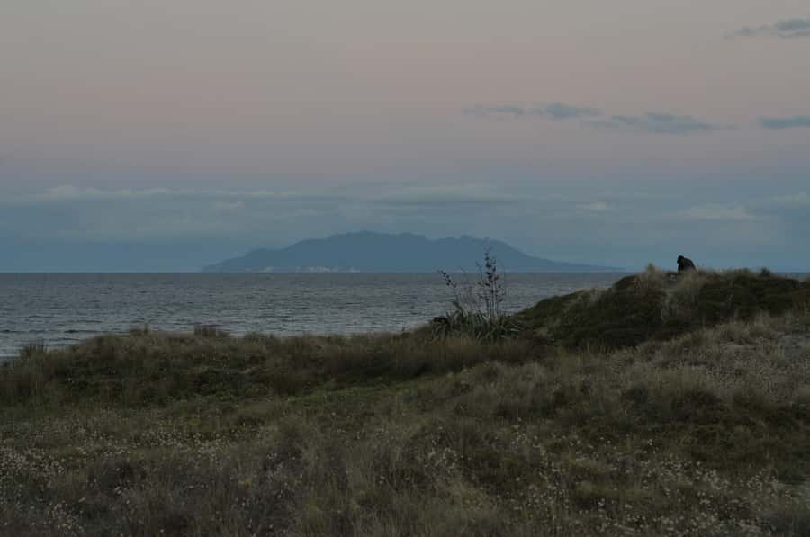 Auckland (Tawharanui): Wild Kiwi Bird Spotting Encounter - What the overnight option adds