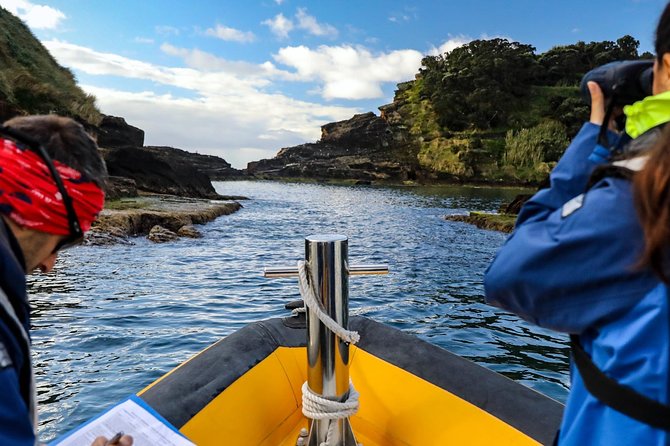Azores Marine Birdwatching Expedition w/ Biologist Guide - Heading offshore for shearwaters and petrels