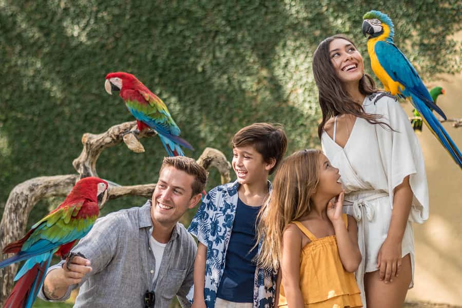 Bali Bird Park 1-Day Admission Ticket - Key points to know before you go