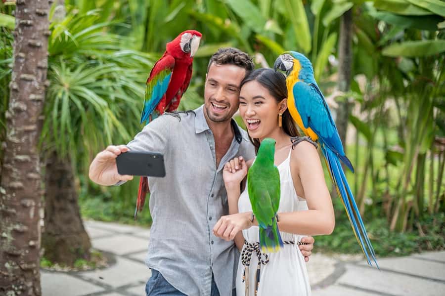 Bali Bird Park 1-Day Admission Ticket - A world tour through Bali’s bird habitats