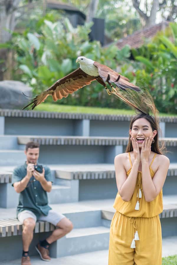 Bali Bird Park 1-Day Admission Ticket - Baby birds, lories, and rainforest feeding sessions