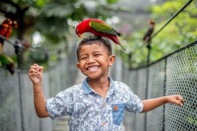 Bali Bird Park: 1-Day Admission Ticket