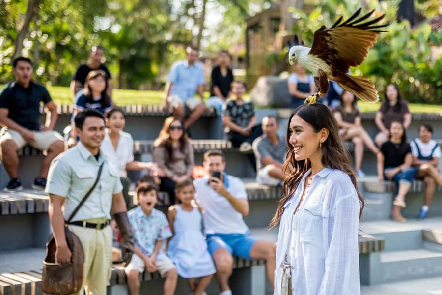 Bali Bird Park 1-Day Admission Ticket - The Komodo Experience and Bali’s star birds