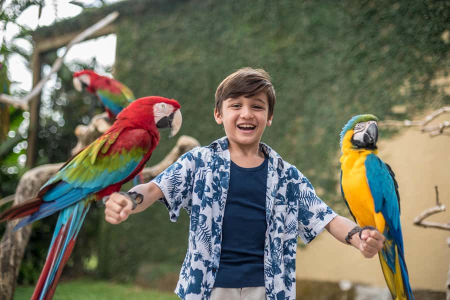 Bali Bird Park 1-Day Admission Ticket - What the $8 ticket really covers