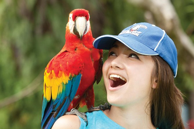 Bali Bird Park Admission Ticket - Free-roaming birds and walk-in aviaries