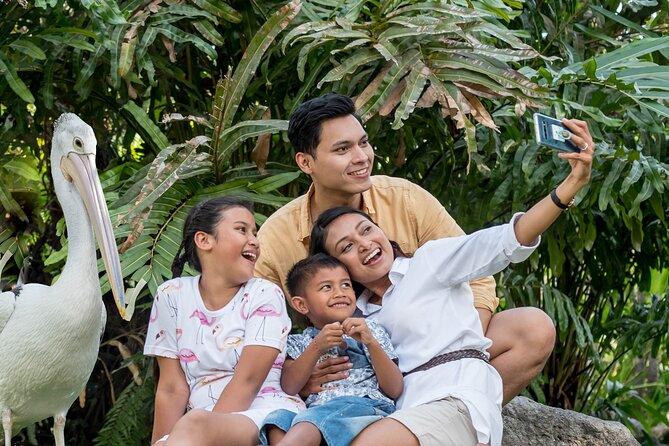 Bali Bird Park Admission Ticket - Gardens, the 4D movie, and a sensible three-hour plan
