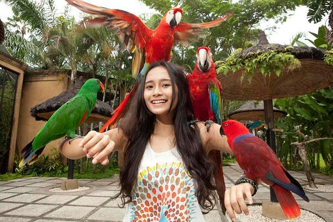 Bali Bird Park Admission Ticket with Hotel Transfer - How long should you stay?