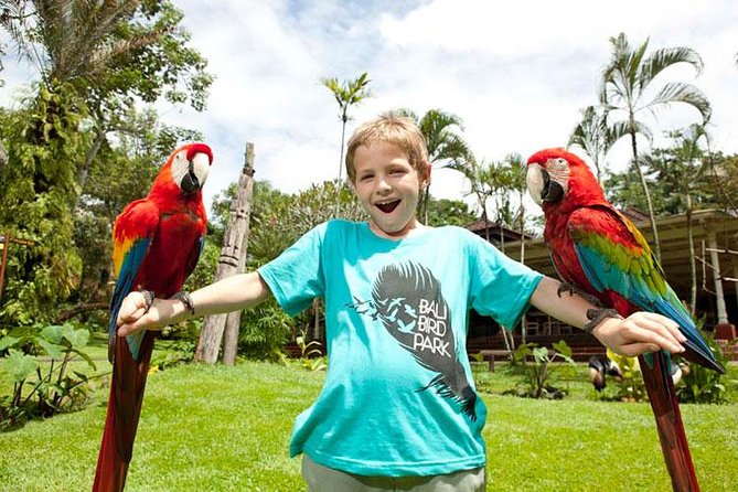 Bali Bird Park Admission Ticket with Hotel Transfer - Coffee, cakes, and the cost of refreshments
