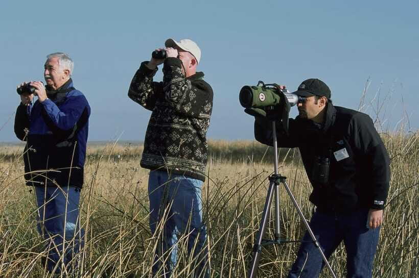 Bali: Countryside Bird Watching Tour with Hotel Transfer - Transport, timing, and what the $48 covers
