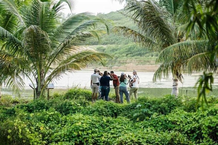 Barbados: Bird Watching Experience - Who should book this Barbados birding trip?