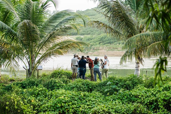 Barbados Bird Watching Experience (Transport Included) - Chancery Lane Swamp: Reeds, Herons, and Seasonal Water