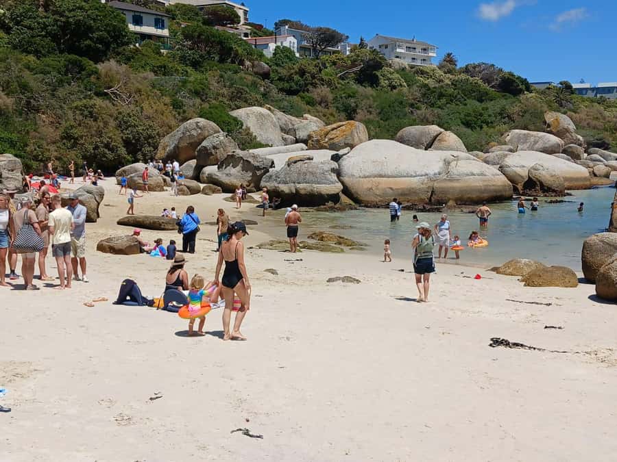 Beach Day at Boulder's Beach & Penguin watching, Half Day - At a glance