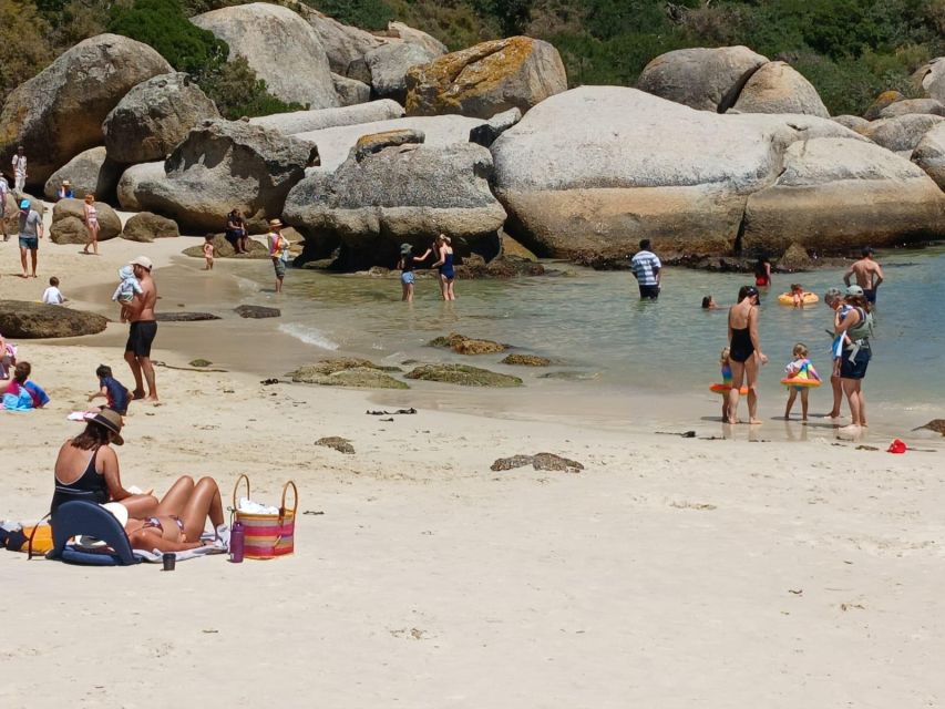 Beach Day at Boulder's Beach & Penguin watching, Half Day - Should you book it?