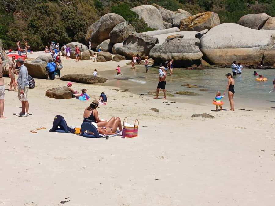 Beach Day at Boulder's Beach & Penguin watching, Half Day - Chapman’s Peak turns the drive into an attraction