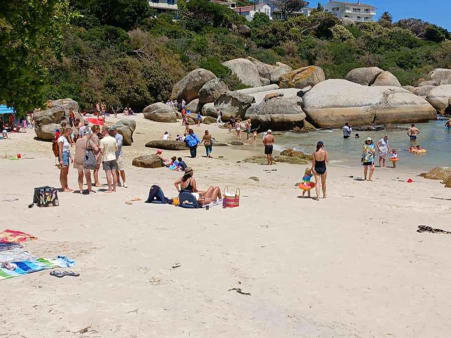 Beach Day at Boulder's Beach & Penguin watching, Half Day - The five-hour schedule and transport