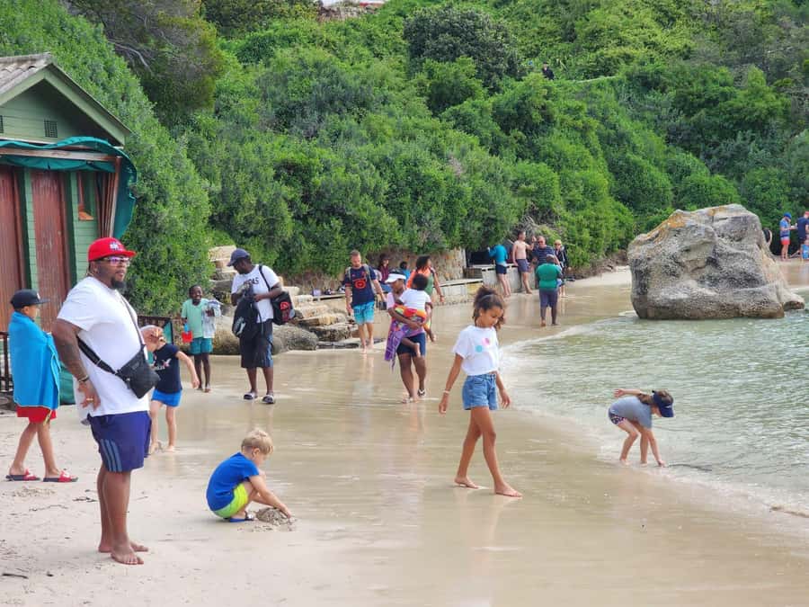 Beach Day at Boulder's Beach & Penguin watching, Half Day - What the $36 price really covers