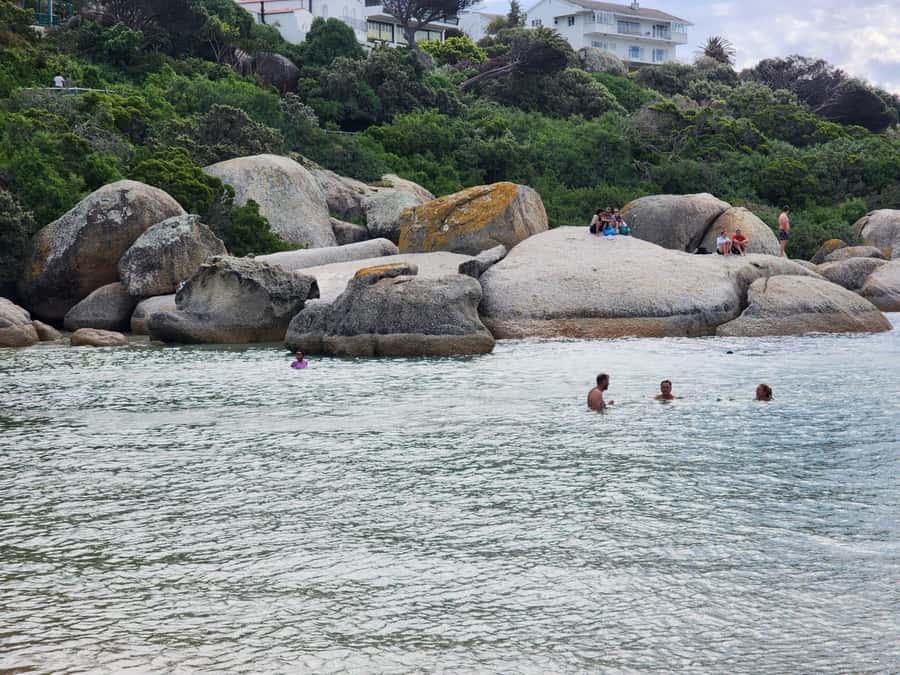 Beach Day at Boulder's Beach & Penguin watching, Half Day - Who should book this coastal outing
