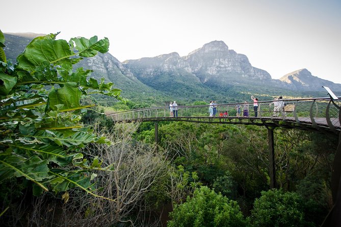 Best Cape Point/Cape of Goodhope/Penguins/Kirstenbosch - Cape Point and Cape of Good Hope: the day’s dramatic center