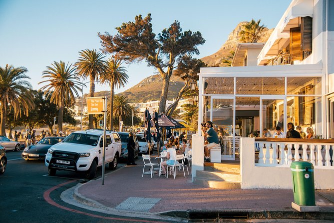 Best Cape Point/Cape of Goodhope/Penguins/Kirstenbosch - Chapman’s Peak: the road itself is part of the attraction