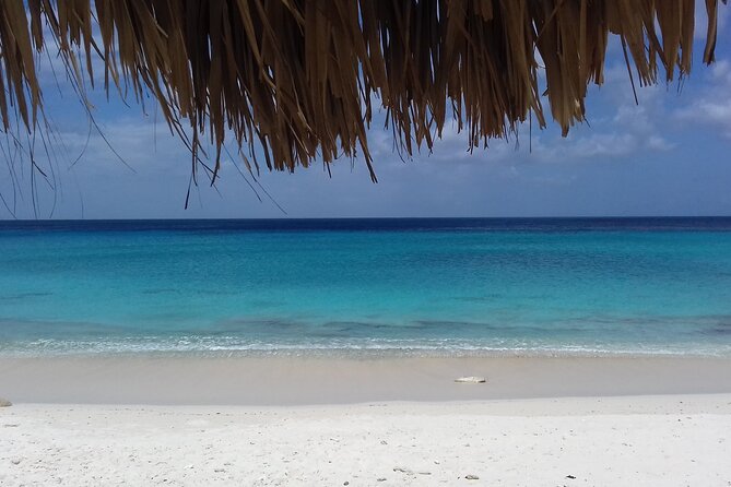Best of the West: Shete Boka, Flamingos, Kalki Beach and Kenepa” - Key points at a glance