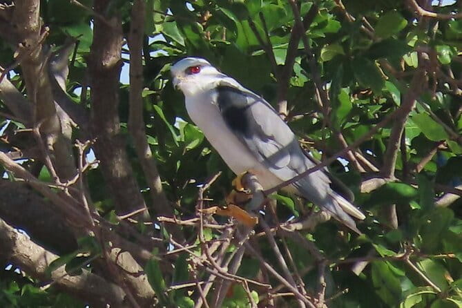 Beyond The Oudong Temple and Birdwatching in Phnom Penh - Lunch and the road to Oudong