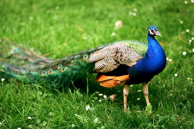 Bharatpur Bird watching & Wildlife from Delhi - Entering Keoladeo National Park by bicycle rickshaw