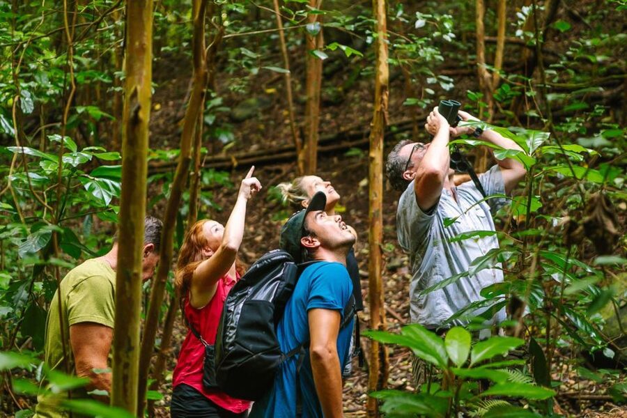 Big Island: Native Bird Watching & Hiking Tour - Key points before you reserve