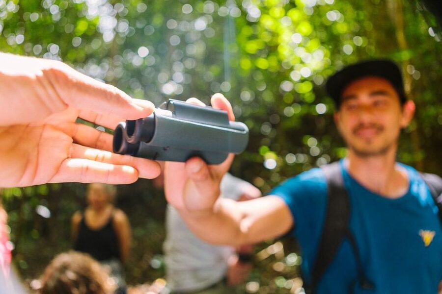 Big Island: Native Bird Watching & Hiking Tour - What the 4WD Mercedes Sprinter adds