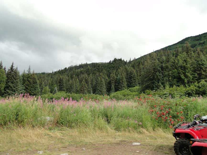 Bird Creek: Chugach State Park ATV Nature Tour & Hike - The ATV ride through Chugach State Park
