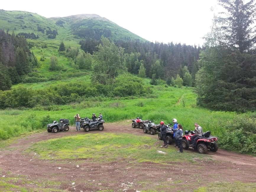 Bird Creek: Chugach State Park ATV Nature Tour & Hike - Wildlife watching without false promises