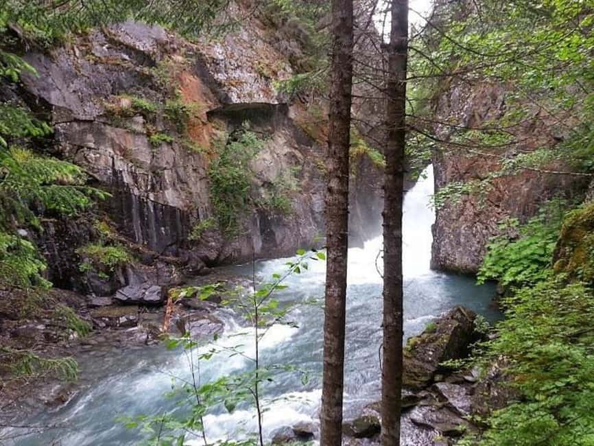 Bird Creek: Chugach State Park ATV Nature Tour & Hike - Who will get the most from this tour