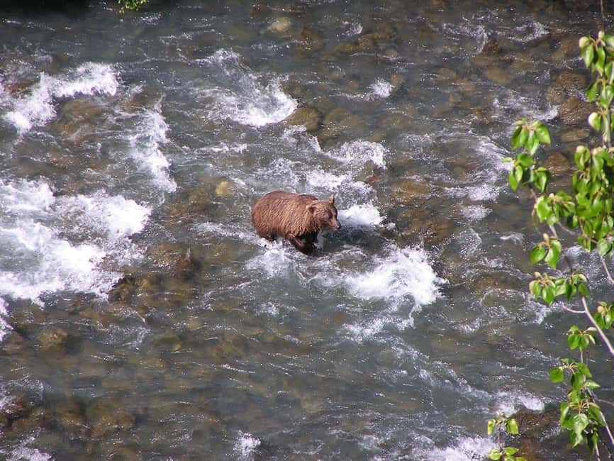 Bird Creek: Chugach State Park ATV Nature Tour & Hike - FAQ