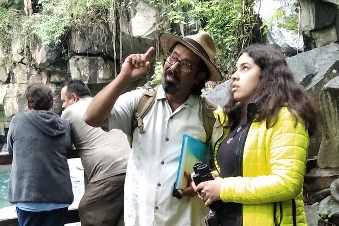 Bird Observation in the National Park of Uruapan. - Key Things to Know Before You Go