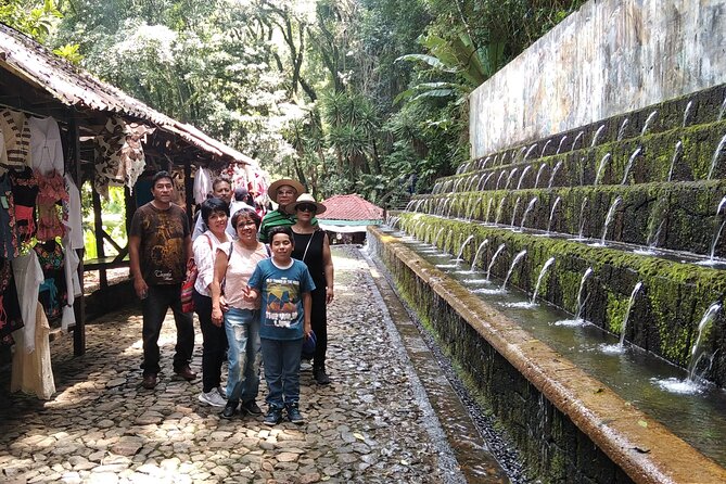 Bird Observation in the National Park of Uruapan. - Plants, Geography, History, and Local Traditions