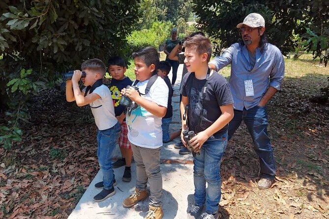 Bird Observation in the National Park of Uruapan. - How This Fits Into a Day in Uruapan