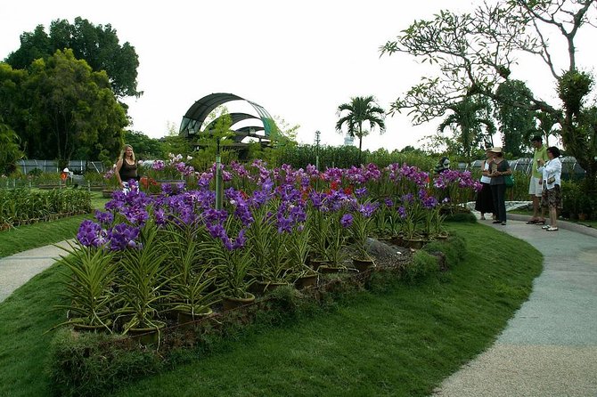 Bird Park & Butterfly Farm Nature Include All Entrance Tour From Kuala Lumpur - A quick nature break from central Kuala Lumpur